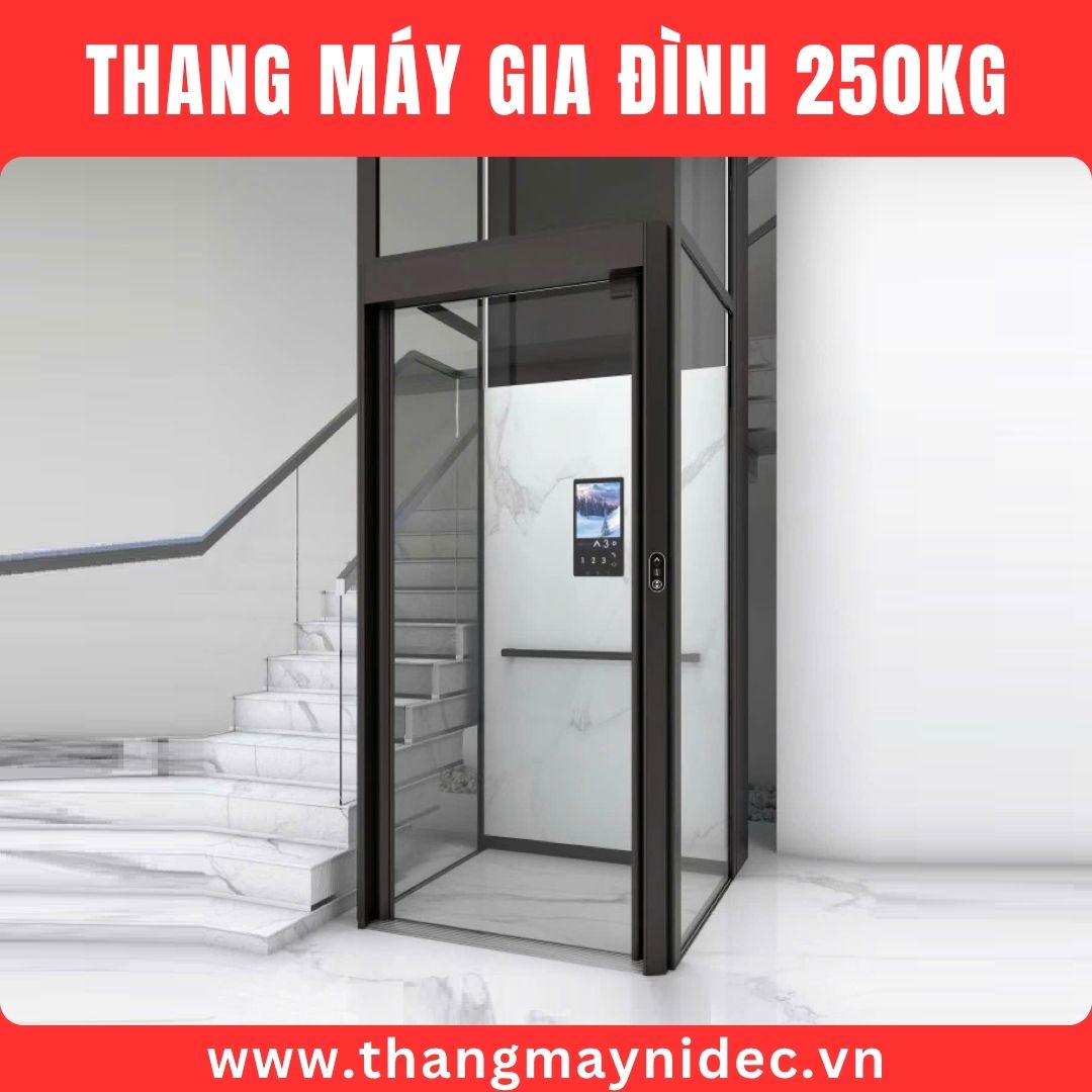 thang máy 250kg kiểu sàn nâng